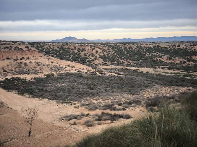 Terreno en Venta en Calle San Benito, 14 en Gea y Truyols