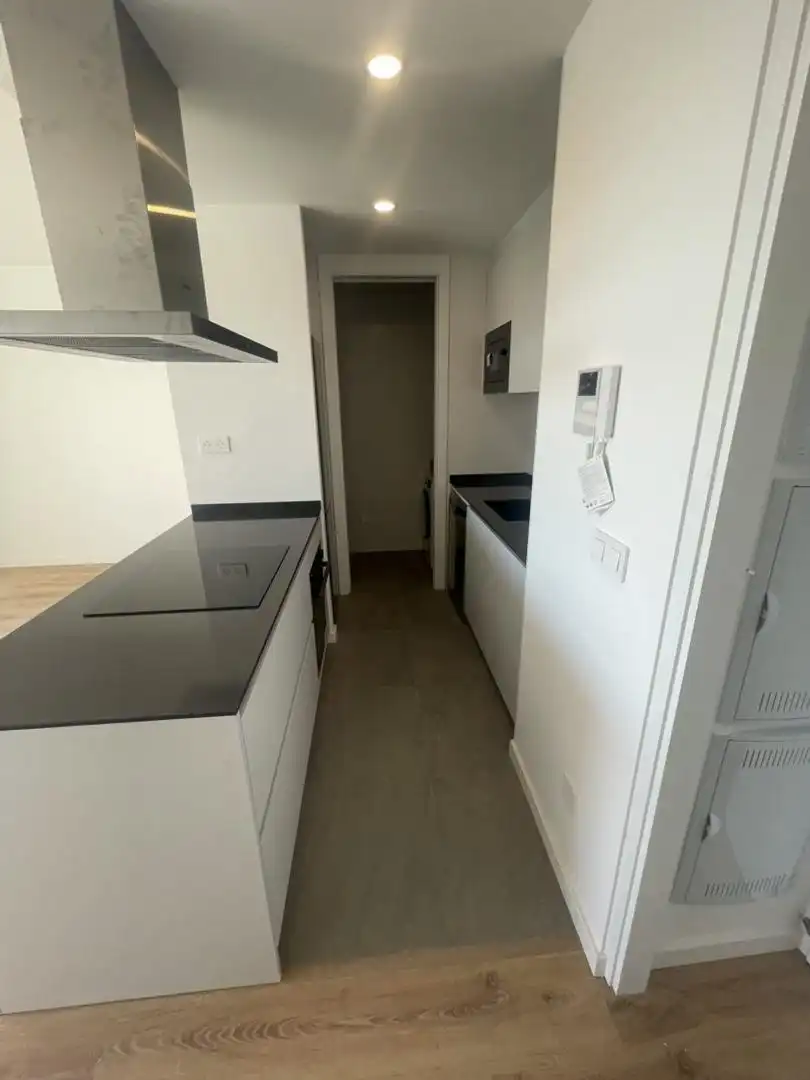 Flat for rent in Calle Profesor Jesus Marin, 15, Limonar Kitchen of Flat for rent in Málaga Capital with Terrace and Swimming Pool