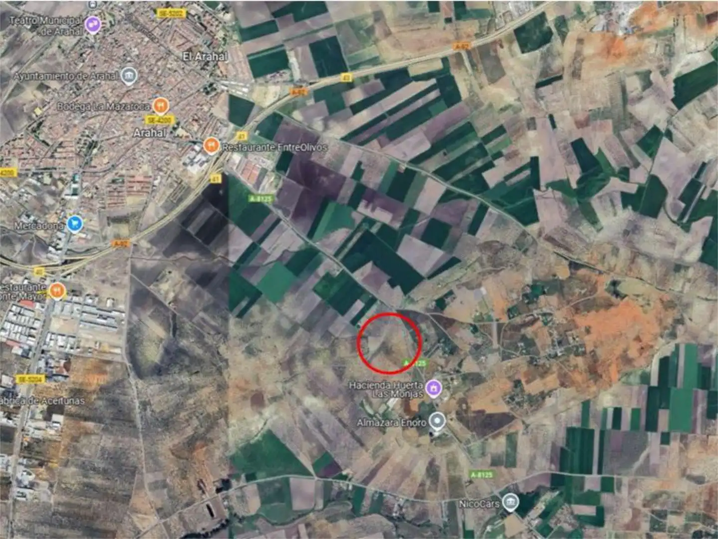 Non-constructible Land for sale in Arahal