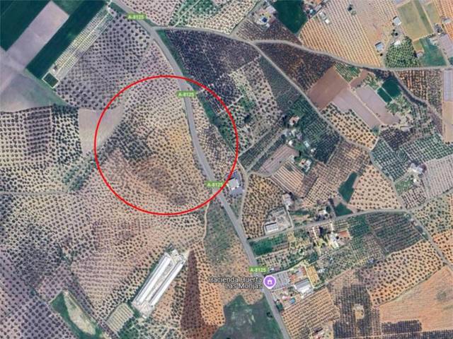 Terreno no urbanizable en Venta en Carretera Moron, 2 en Arahal