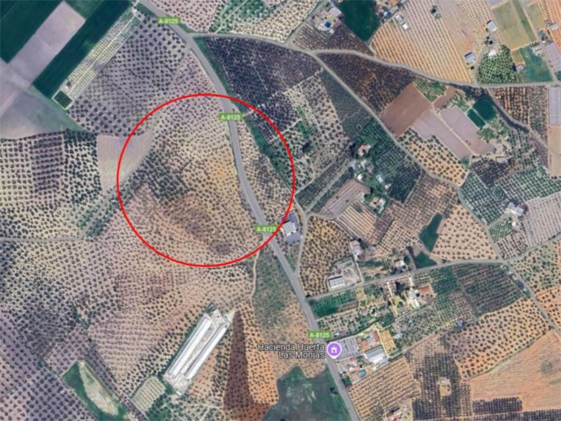 No Urbanitzable en venda en Arahal