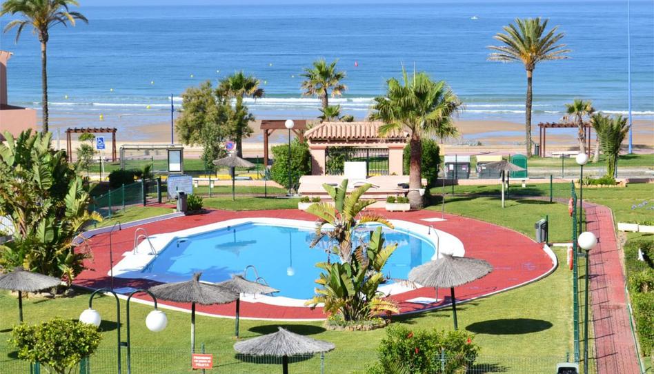 Foto 1 de Pis de lloguer a Paseo Marítimo de la Barrosa, 1965, La Barrosa, Cádiz