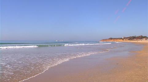 Foto 2 de Pis de lloguer a Paseo Marítimo de la Barrosa, 1965, La Barrosa, Cádiz