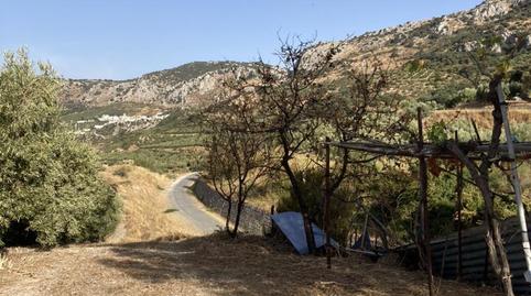 Finca rústica en venta en Diseminado Diseminados Inf Car, 247, Luque, Córdoba - imagen 3 Foto 3 de Finca rústica en venta en Diseminado Diseminados Inf Car, 247, Luque, Córdoba