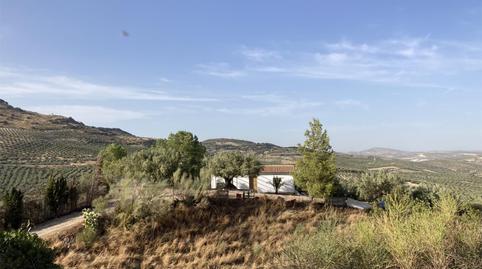 Finca rústica en venta en Diseminado Diseminados Inf Car, 247, Luque, Córdoba - imagen 4 Foto 4 de Finca rústica en venta en Diseminado Diseminados Inf Car, 247, Luque, Córdoba