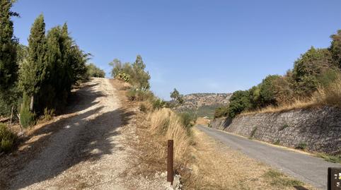 Finca rústica en venta en Diseminado Diseminados Inf Car, 247, Luque, Córdoba - imagen 5 Foto 5 de Finca rústica en venta en Diseminado Diseminados Inf Car, 247, Luque, Córdoba