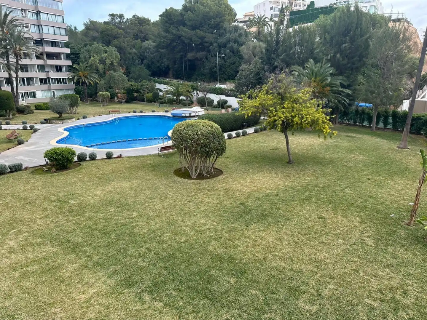 Wohnung zur Miete in Carrer Benito Jerónimo Feijóo, 1, Portals Nous Schwimmbecken von Wohnung zur Miete in Calvià mit Klimaanlage, Heizung und Privatgarten