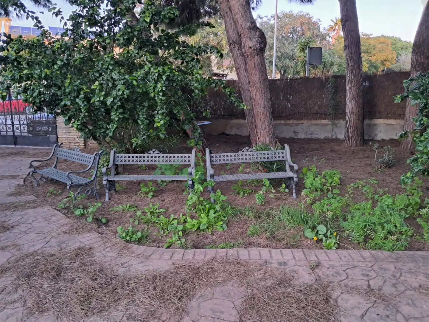 Urbanitzable en venda a Avenida Playa Santa María del Mar, 21, La Jara Jardí de Urbanitzable en venda en Sanlúcar de Barrameda