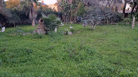 Foto 5 de Urbanitzable en venda a Avenida Playa Santa María del Mar, 21, La Jara, Cádiz