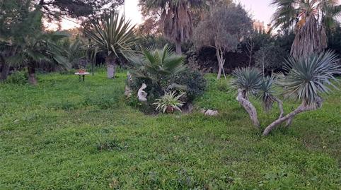 Foto 3 de Urbanitzable en venda a Avenida Playa Santa María del Mar, 21, La Jara, Cádiz