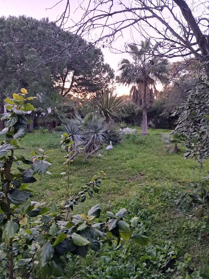 Urbanitzable en venda a Avenida Playa Santa María del Mar, 21, La Jara Urbanitzable en venda en Sanlúcar de Barrameda