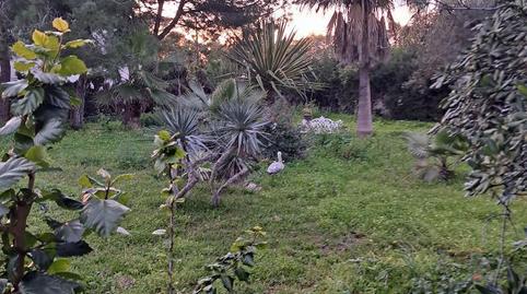 Foto 4 de Urbanitzable en venda a Avenida Playa Santa María del Mar, 21, La Jara, Cádiz