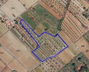 Land for sale in Sumacàrcer