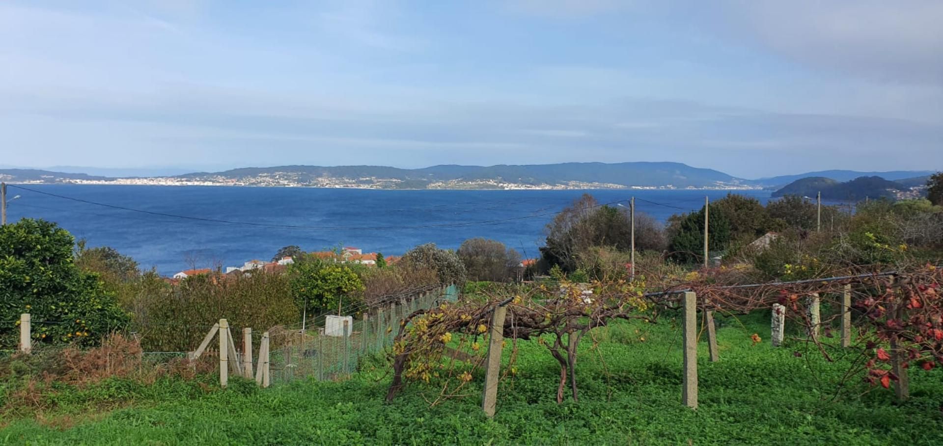 Land for sale in Bueu