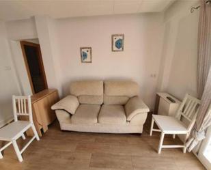 Living room of Flat to rent in Elche / Elx  with Terrace, Furnished and Pets allowed