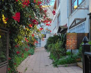 Jardí de Local de lloguer en Torrevieja amb Aire condicionat