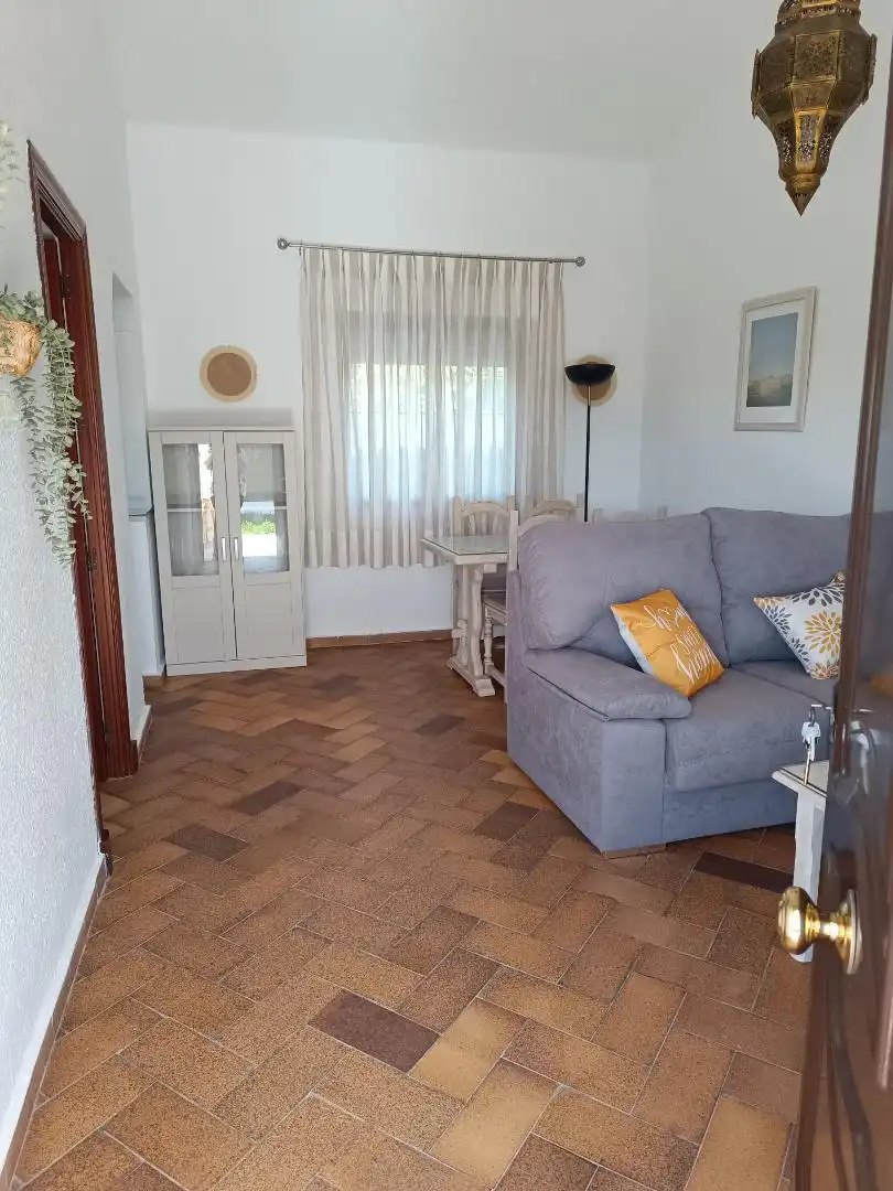 Sala d'estar de Casa o xalet de lloguer en Barbate amb Jardí privat, Moblat i Forn