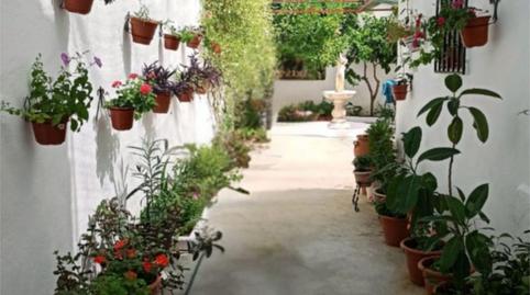 House or chalet for sale in Carretera Hinojosa, 5, Valsequillo, Córdoba - image 2 Photo 2 of House or chalet for sale in Carretera Hinojosa, 5, Valsequillo, Córdoba