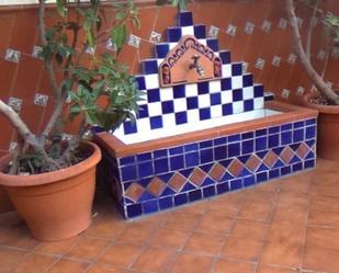 Garden of Flat to rent in  Sevilla Capital  with Air Conditioner, Heating and Parquet flooring