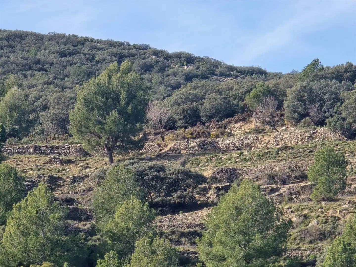 Non-constructible Land for sale in Masia Parra, 131, Lucena del Cid Non-constructible Land for sale in Lucena del Cid