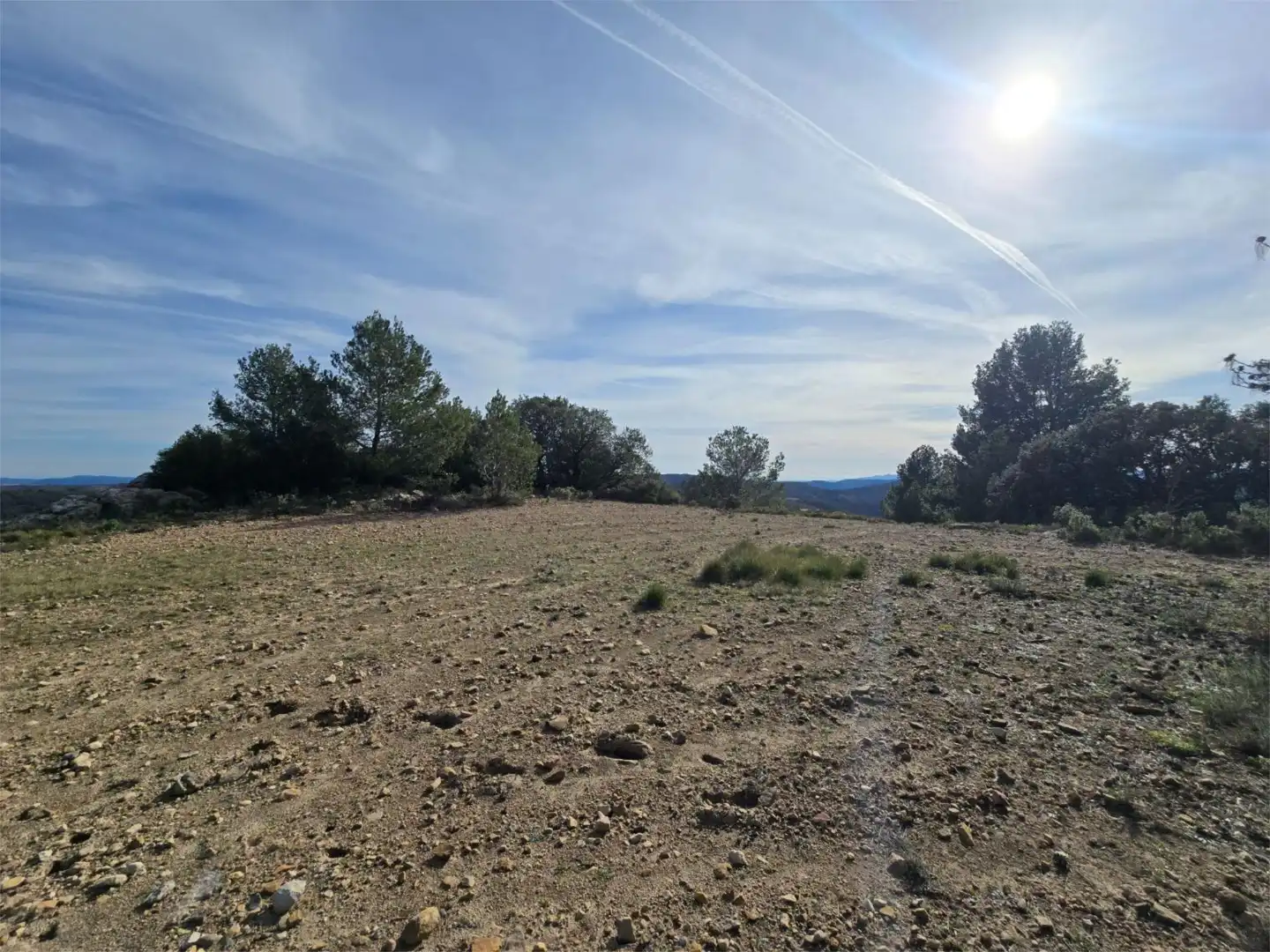 Non-constructible Land for sale in Masia Parra, 131, Lucena del Cid Non-constructible Land for sale in Lucena del Cid