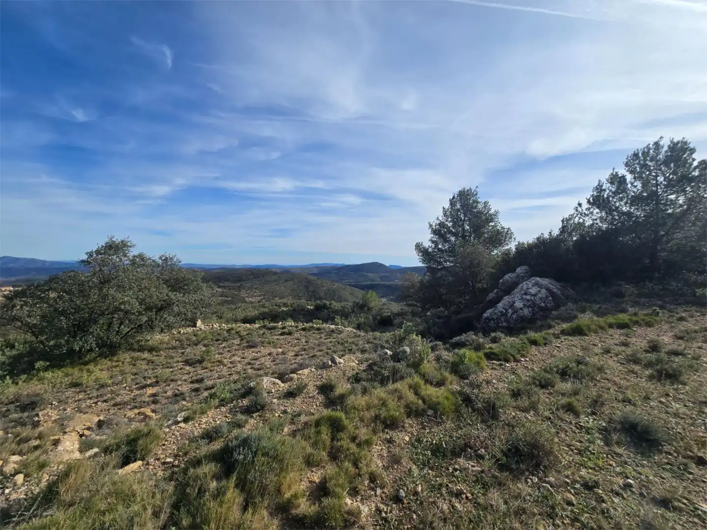 Non-constructible Land for sale in Masia Parra, 131, Lucena del Cid Non-constructible Land for sale in Lucena del Cid