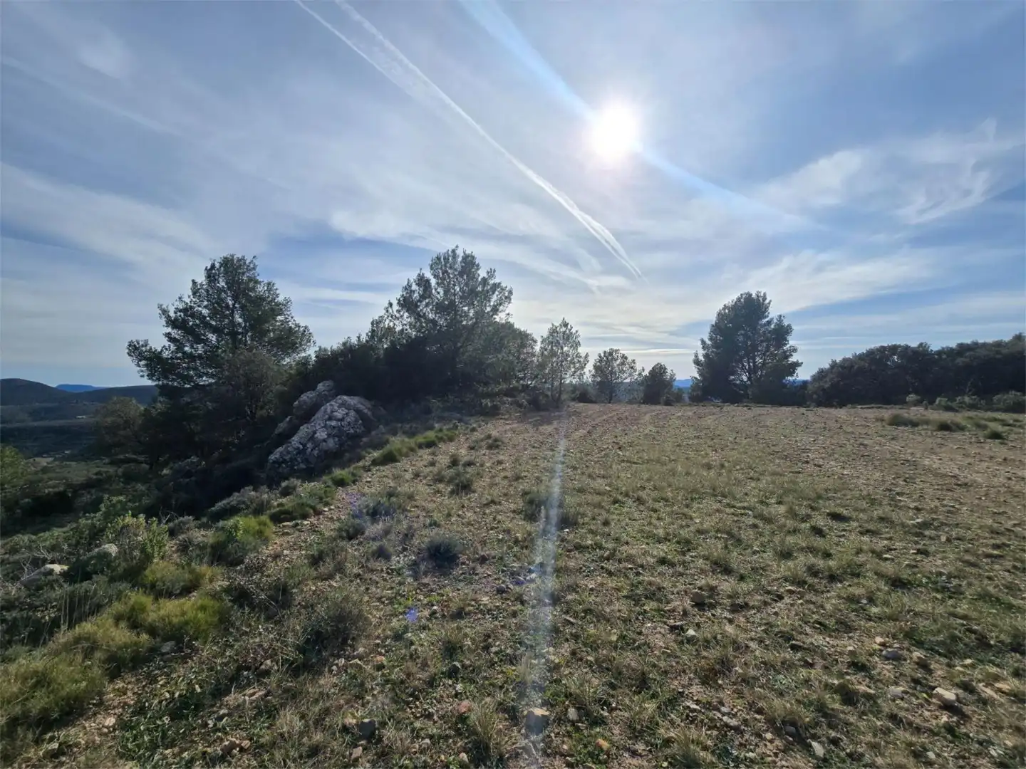 Non-constructible Land for sale in Masia Parra, 131, Lucena del Cid Non-constructible Land for sale in Lucena del Cid