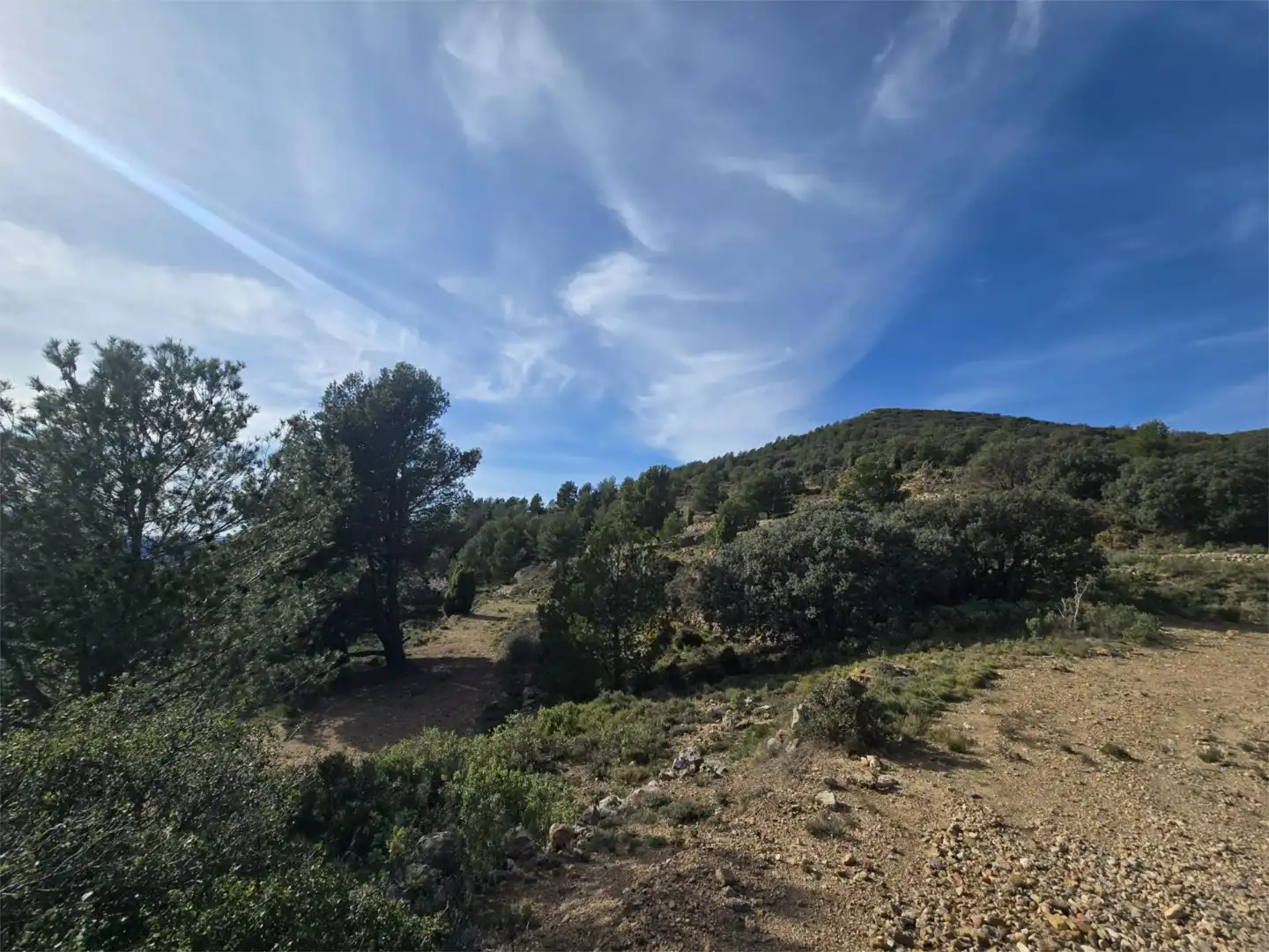Non-constructible Land for sale in Masia Parra, 131, Lucena del Cid Non-constructible Land for sale in Lucena del Cid