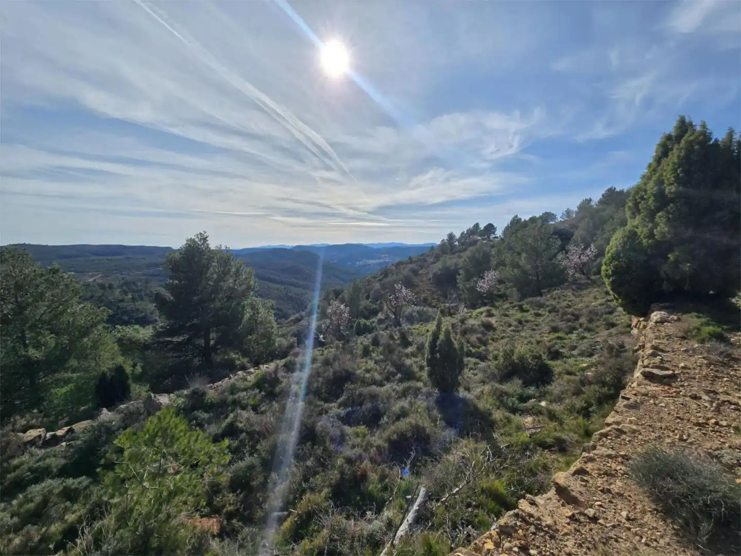 Non-constructible Land for sale in Masia Parra, 131, Lucena del Cid Non-constructible Land for sale in Lucena del Cid