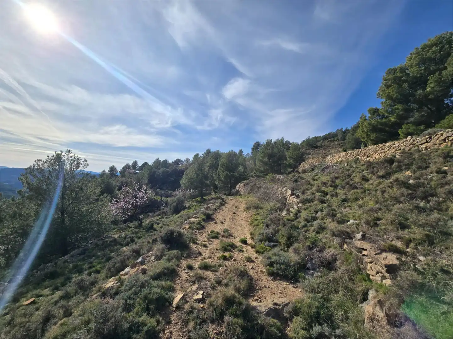 Non-constructible Land for sale in Masia Parra, 131, Lucena del Cid Non-constructible Land for sale in Lucena del Cid