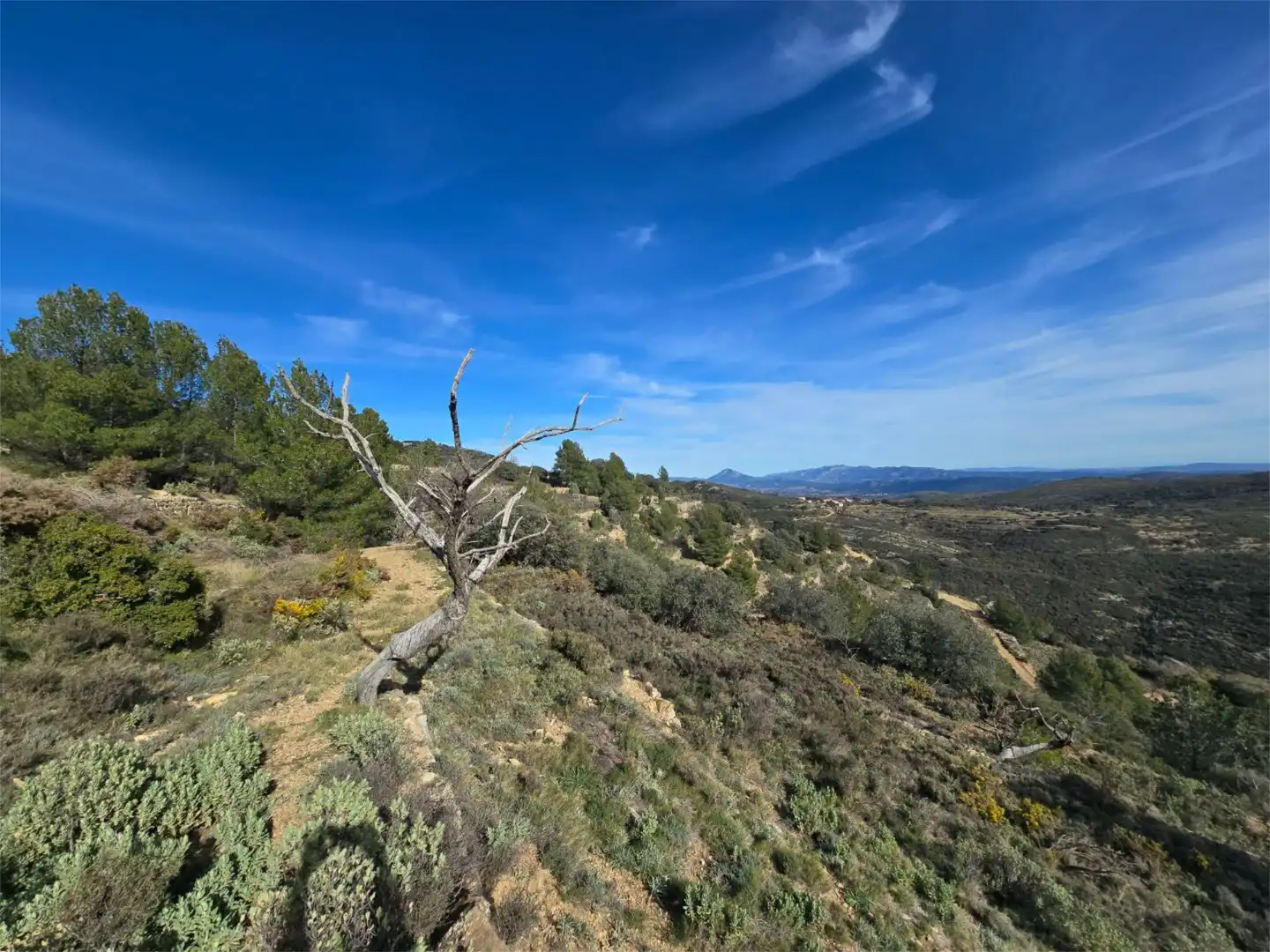 Non-constructible Land for sale in Masia Parra, 131, Lucena del Cid Non-constructible Land for sale in Lucena del Cid