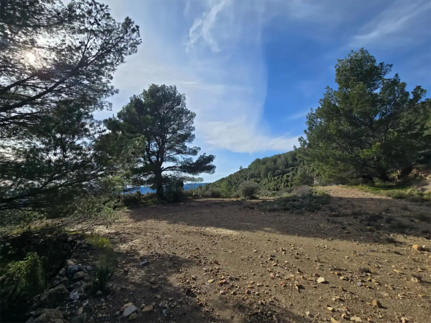 Non-constructible Land for sale in Masia Parra, 131, Lucena del Cid Non-constructible Land for sale in Lucena del Cid