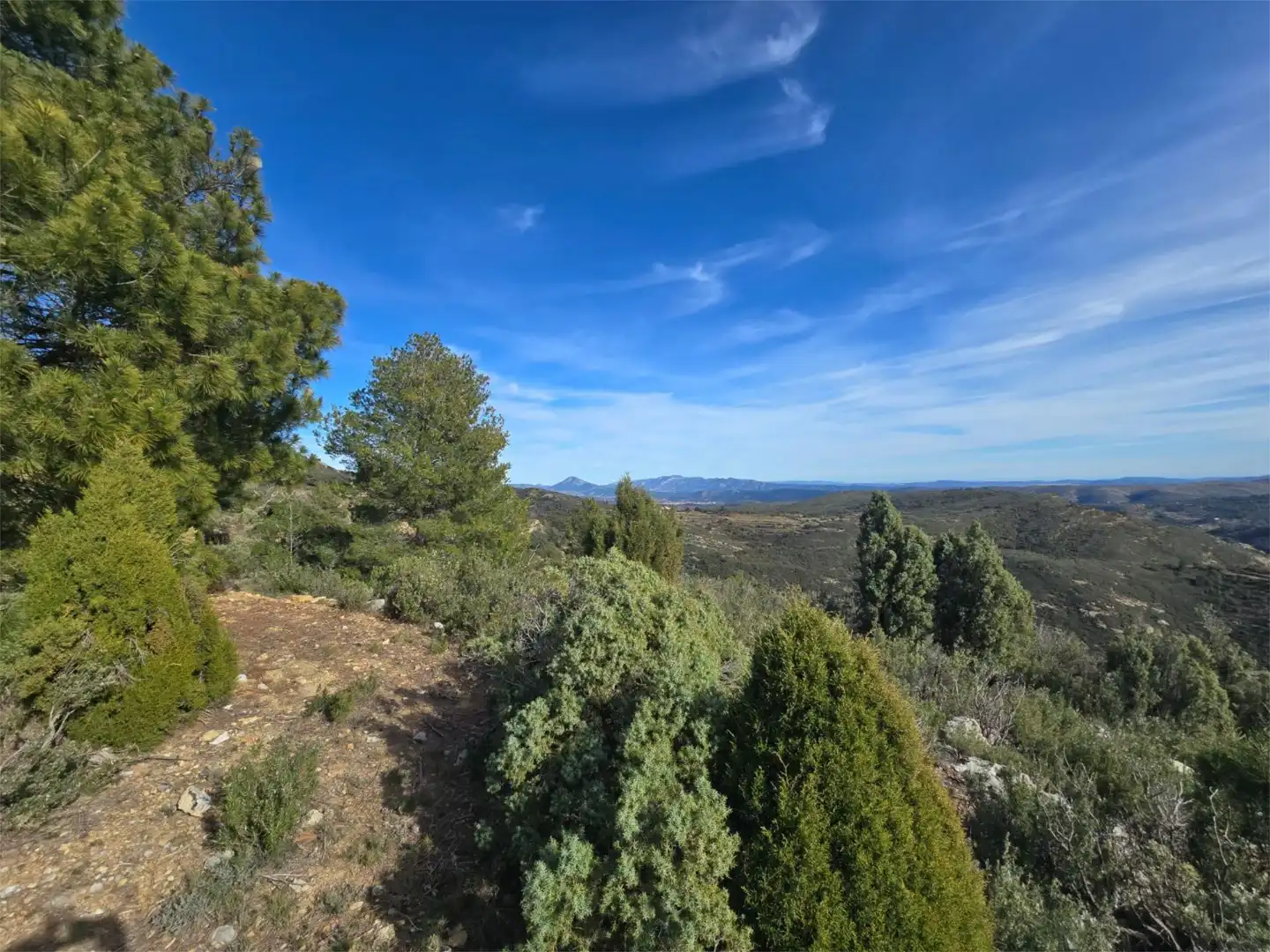 Non-constructible Land for sale in Masia Parra, 131, Lucena del Cid Non-constructible Land for sale in Lucena del Cid