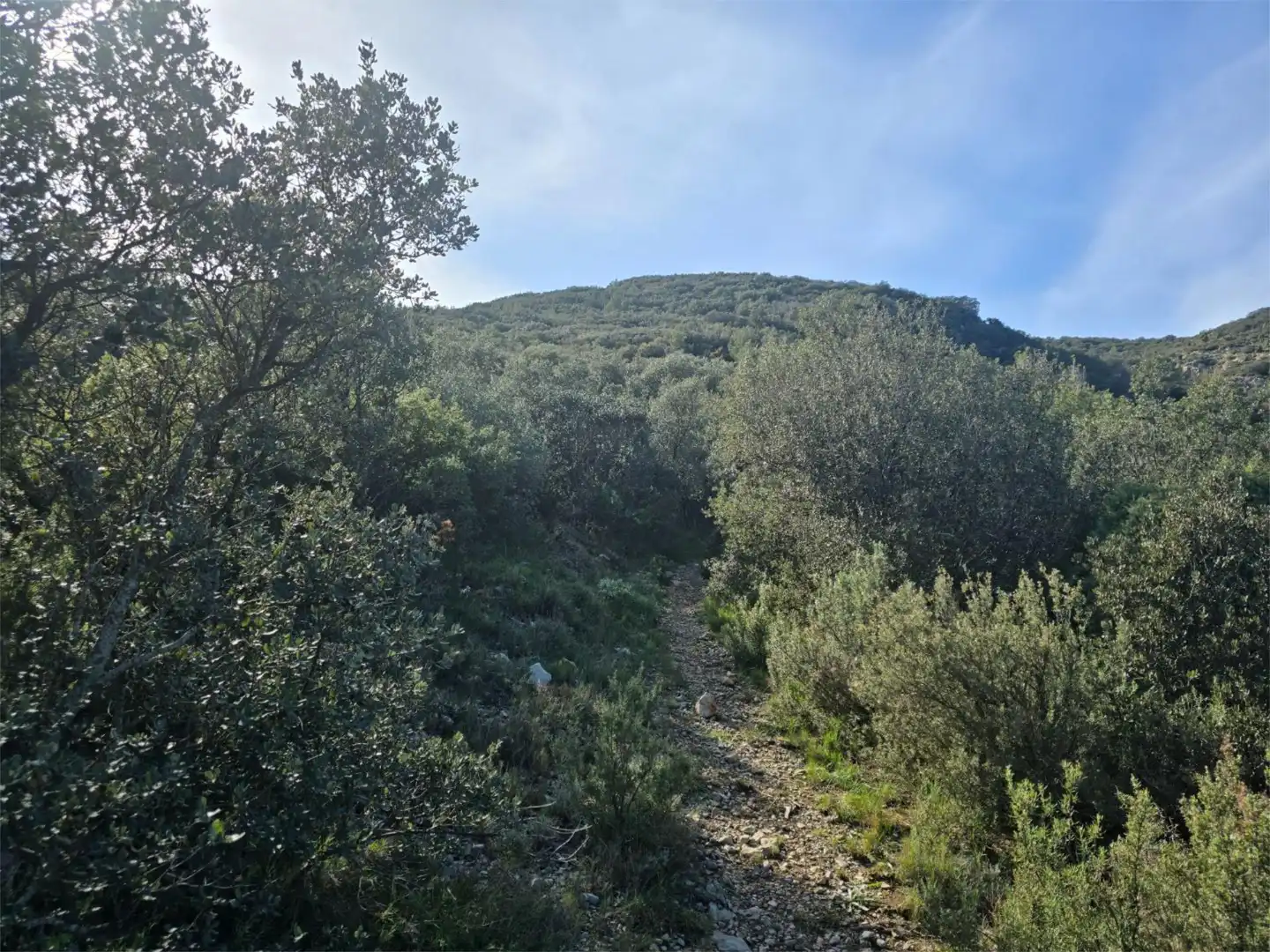 Non-constructible Land for sale in Masia Parra, 131, Lucena del Cid Non-constructible Land for sale in Lucena del Cid
