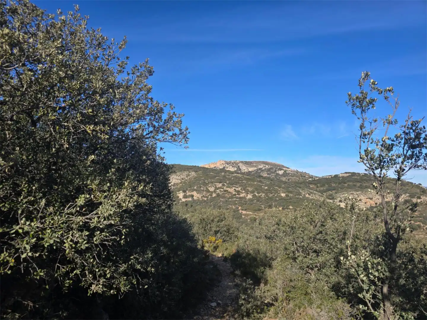 Non-constructible Land for sale in Masia Parra, 131, Lucena del Cid Non-constructible Land for sale in Lucena del Cid
