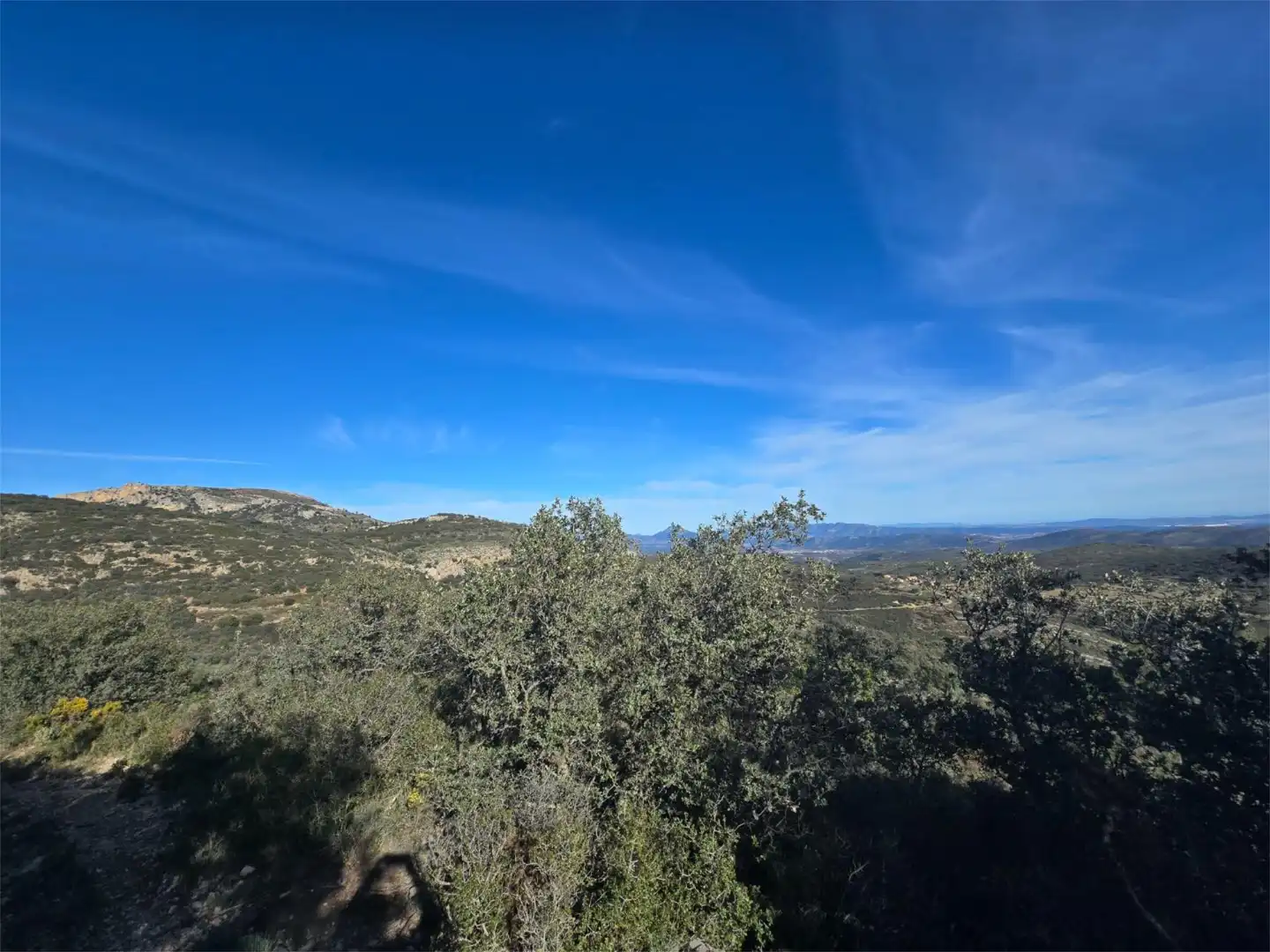 Non-constructible Land for sale in Masia Parra, 131, Lucena del Cid Non-constructible Land for sale in Lucena del Cid