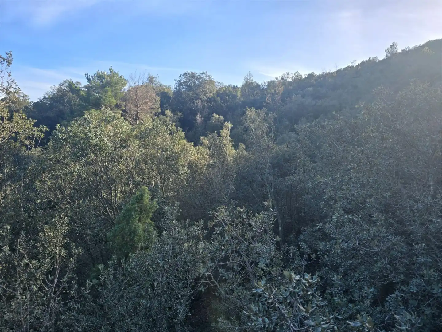 Non-constructible Land for sale in Masia Parra, 131, Lucena del Cid Non-constructible Land for sale in Lucena del Cid