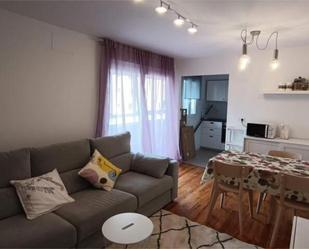 Sala d'estar de Apartament de lloguer en Donostia - San Sebastián  amb Terrassa i Moblat