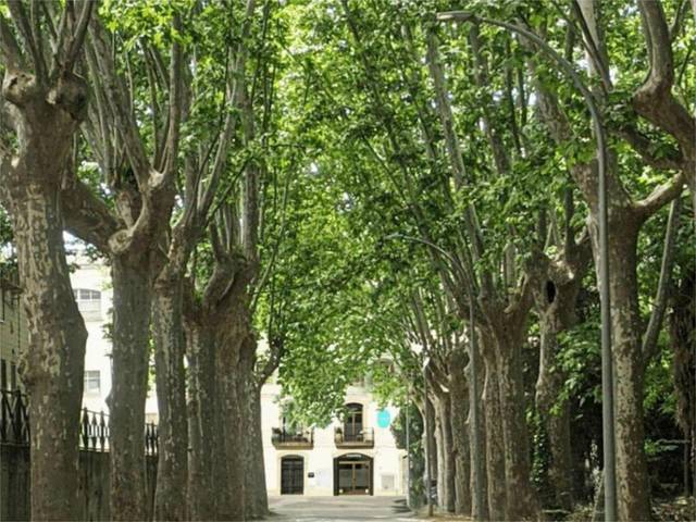 Local comercial en Alquiler en Poligono Industrial la Gelidense, 3 en Gelida