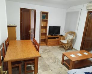 Living room of Flat to rent in Ciudad Real Capital  with Air Conditioner