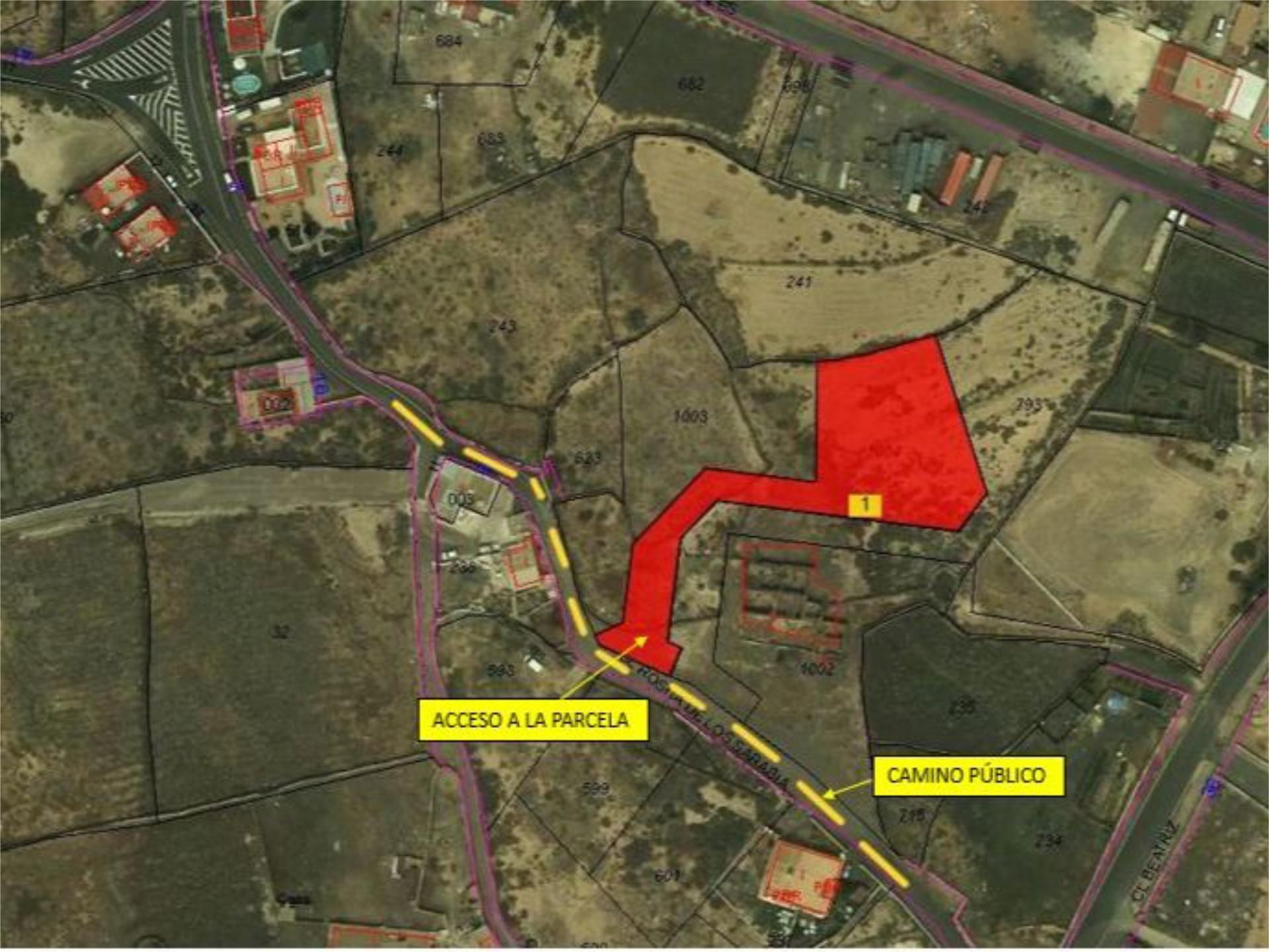 Land for sale in La Oliva