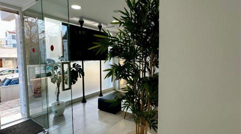 Office to rent in Avinguda Pere Matutes Noguera, 34, Ses Figueretes - Platja d'en Bossa - Cas Serres, Illes Balears - image 4 Photo 4 of Office to rent in Avinguda Pere Matutes Noguera, 34, Ses Figueretes - Platja d'en Bossa - Cas Serres, Illes Balears