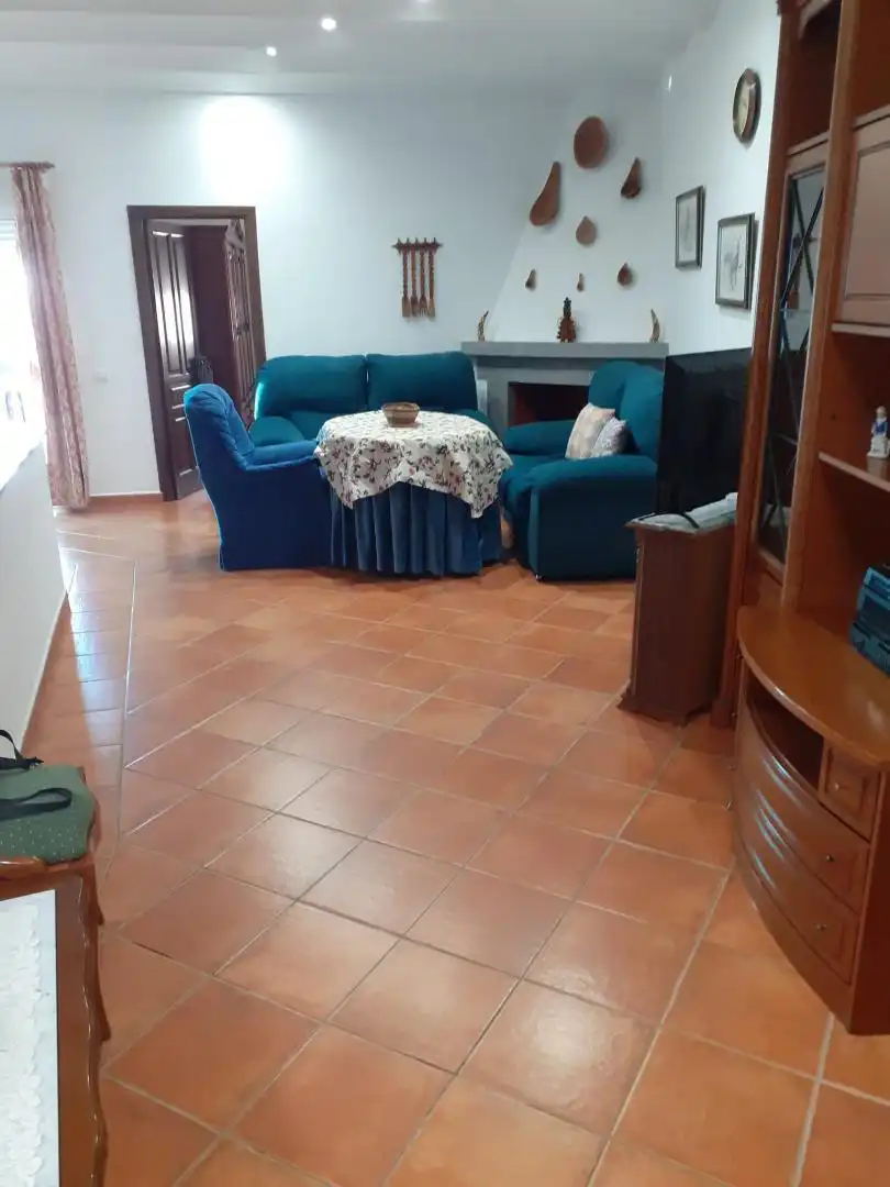 Sala d'estar de Casa o xalet en venda en El Pedroso amb Aire condicionat i Terrassa