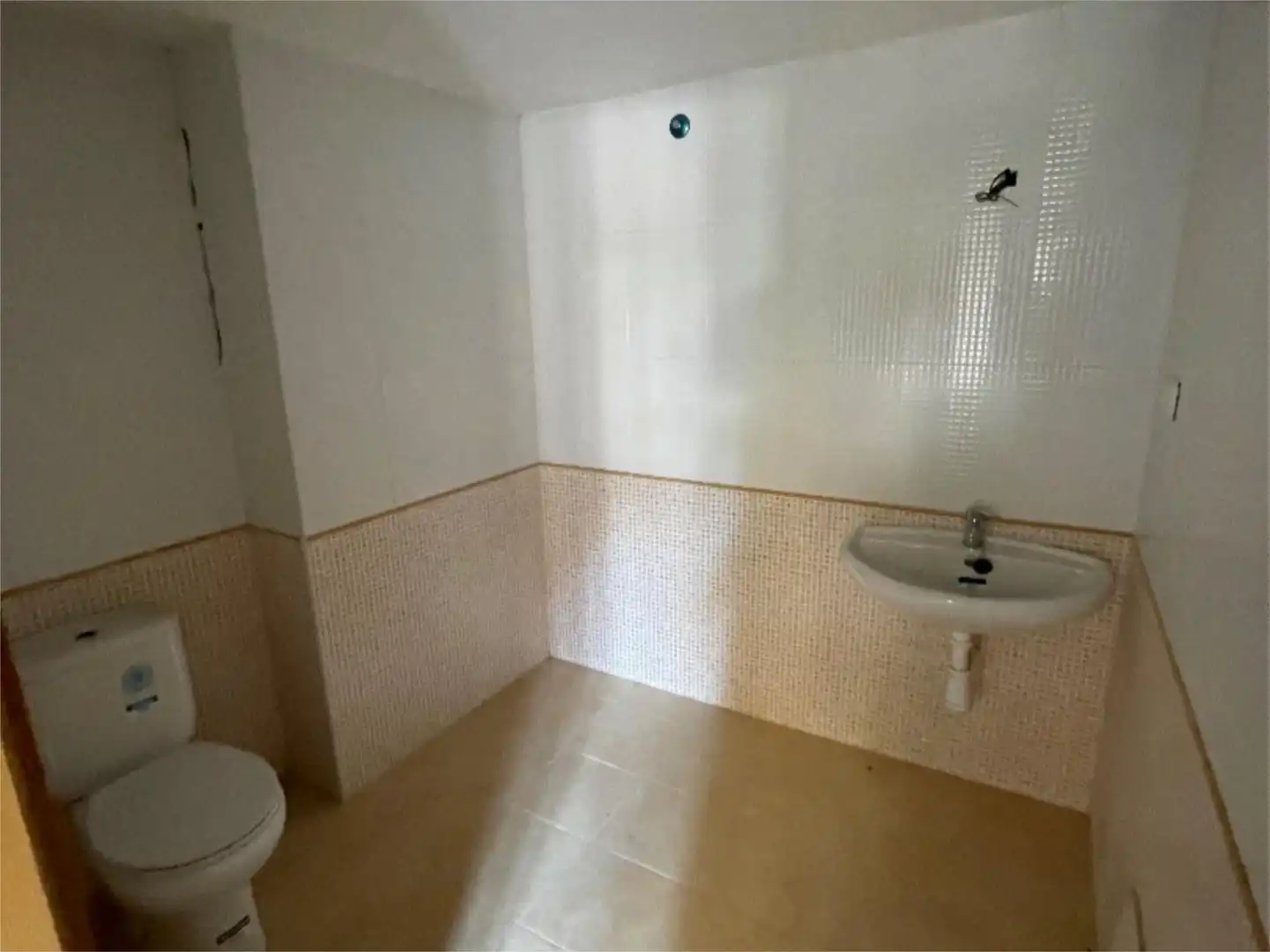 Commercial properties for rent in Calle Sancho Panza, 16, Alto de los Molinos Bathroom of Commercial properties for rent in Albacete