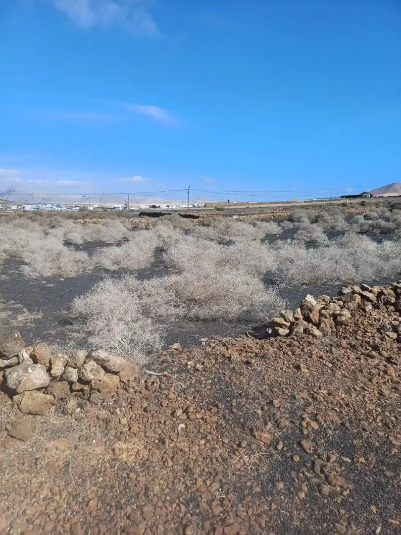 Terreno en venta en Tinajo