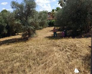 Finca rústica en venda en Gelves