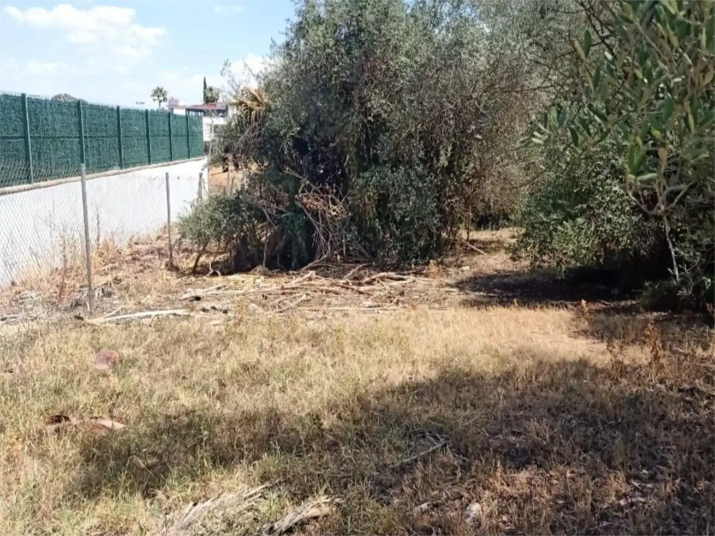 Finca rústica en venta en Gelves