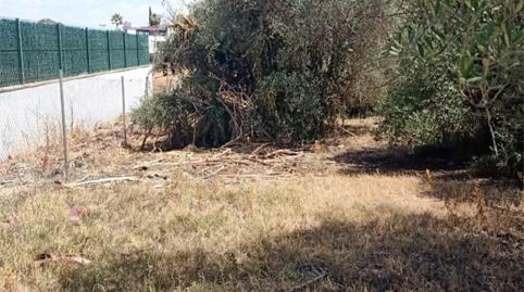 Photo 2 of Country house for sale in Calle Fernán Caballero, 8, Gelves, Sevilla