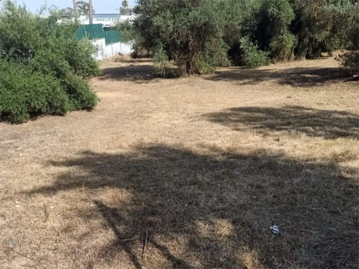 Finca rústica en venta en Gelves
