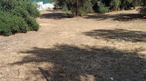 Photo 3 of Country house for sale in Calle Fernán Caballero, 8, Gelves, Sevilla